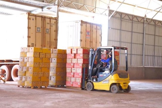 Ùn tắc nông sản biên giới: Sáu đề xuất để "chuẩn hoá"