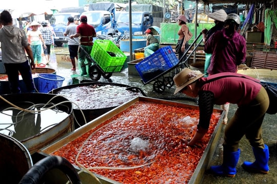 Chợ cá lớn nhất Hà Nội "trầm lắng" hơn mọi năm do ảnh hưởng dịch bệnh