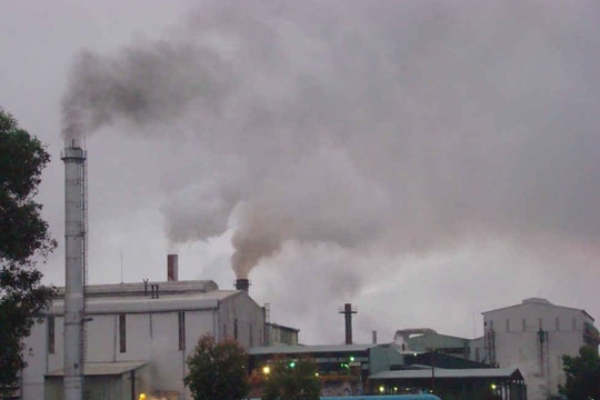 TIN NÓNG CHÍNH PHỦ: Xử lý nghiêm mọi hành vi gây ô nhiễm môi trường