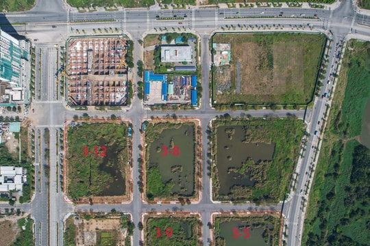 VUI BUỒN F0 CHỨNG KHOÁN: CII -cổ phiếu gây "tê liệt" nhiều nhà đầu tư...