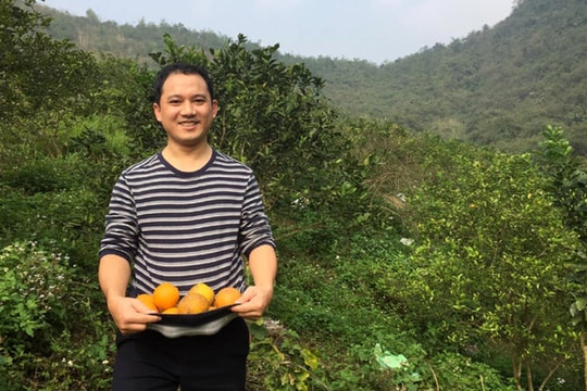 Nỗ lực bứt phá của các nhà khởi nghiệp trẻ