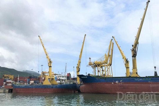 Doanh nghiệp xuất nhập khẩu "gian nan" vì chi phí vận tải biển