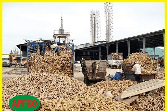 Bắt tay chuyển đổi số