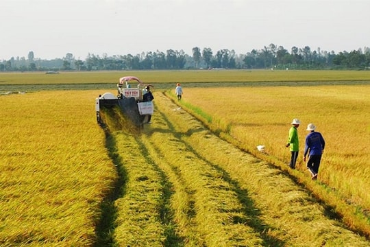 Phát triển ĐBSCL thành trung tâm kinh tế nông nghiệp bền vững