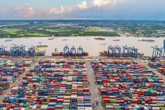Nóng: 7 Hiệp hội đồng kiến nghị lùi thời gian thu phí cảng biển TP.HCM