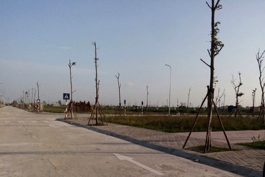 "Khó” xử lý việc chậm nộp tiền trúng đấu giá đất