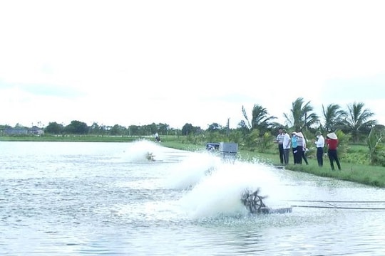 Hải Dương: Hướng đi nào cho ngành nông nghiệp?