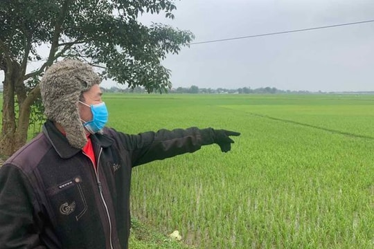 Sửa Luật Đất đai 2013: Đền bù cần sát giá thị trường