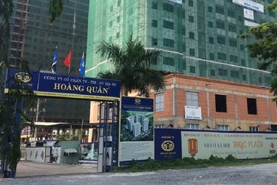 Tiềm lực của Louis Holdings - nhóm cổ đông muốn đưa người vào HQC