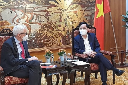 VCCI sẵn sàng hợp tác cùng BritCham về năng lượng tái tạo