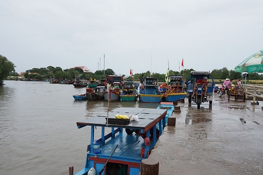 Đầu tư cảng trung chuyển container quốc tế Cần Giờ: Tránh thêm “một giấc mơ dang dở"