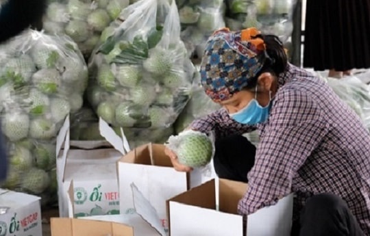Thái Bình: Thương mại điện tử con đường để nông sản vượt qua đại dịch