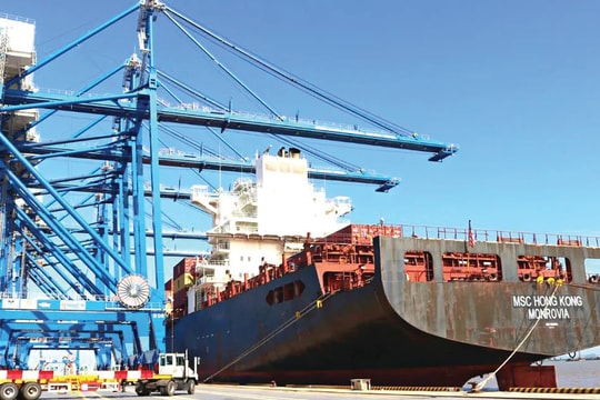Đầu tư cảng trung chuyển container quốc tế Cần Giờ: Đề xuất cơ chế đặc thù!