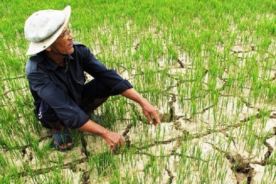 NGUY CƠ LỚN CỦA ĐBSCL: Những thách thức từ biến đổi khí hậu