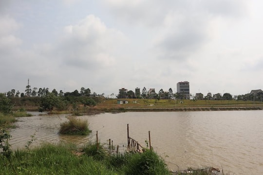 Vì sao Bình Phước hủy bỏ quy hoạch khu đô thị 1.775ha của FLC?