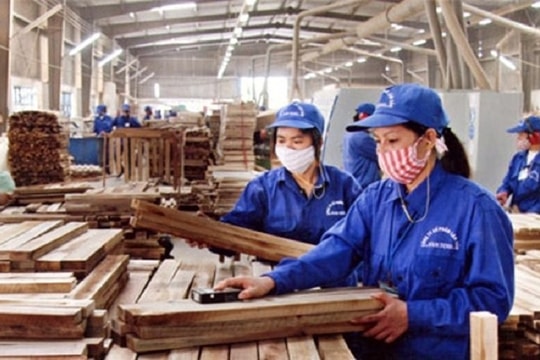 "Điệp khúc" mùa BCTC: Nhiều doanh nghiệp bốc hơi lợi nhuận sau kiểm toán