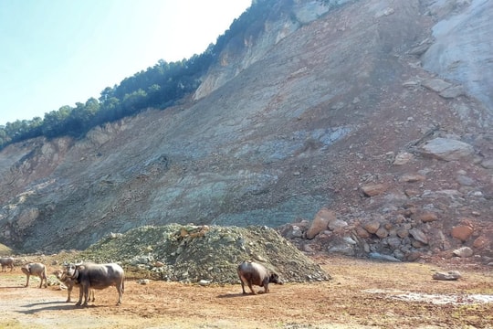 Nghệ An: Dự án chống sạt lở nhưng...sạt lở quanh năm