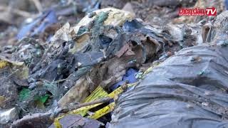 Bà Rịa - Vũng Tàu: Khẩn trương di dời bãi rác ra khỏi khu bảo tồn thiên nhiên