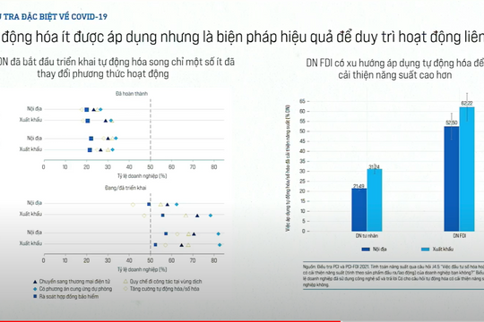 PCI 2021: Tỷ lệ doanh nghiệp FDI báo lãi thấp nhất trong 10 năm qua
