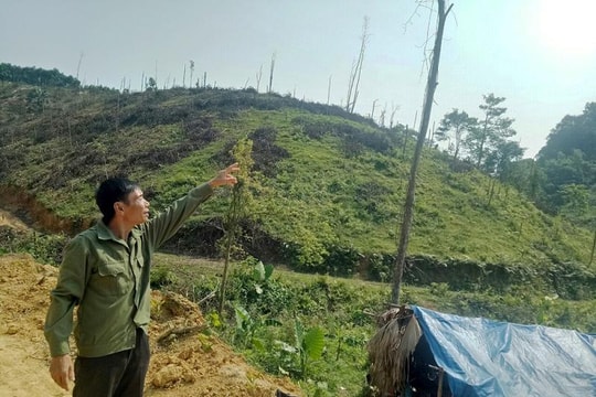 Nghệ An: Hàng chục ha đất rừng đã được cấp sổ đỏ “bỗng dưng” biến mất