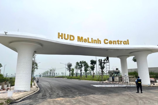 Hai doanh nghiệp "bán chui" dự án tại Mê Linh là ai?