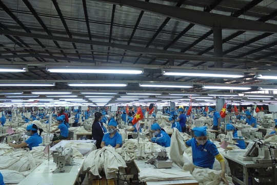 Năm 2022 TNG đã mở rộng kinh doanh ngoài ngành lõi