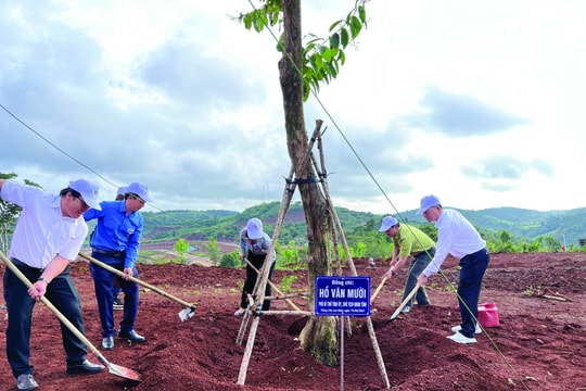 Vì một Đắk Nông xanh