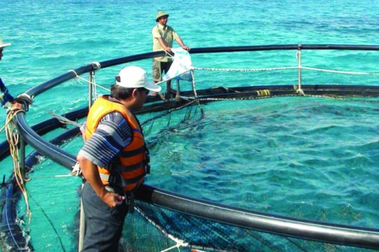 Trường Sa sẽ là trung tâm kinh tế trên biển