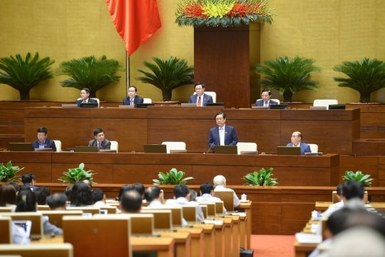 Câu chuyện được mùa mất giá như một "lời nguyền"