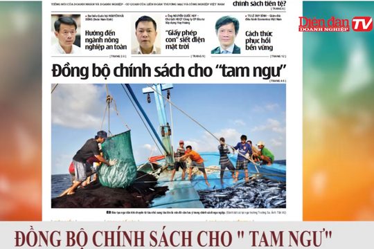 ĐIỂM BÁO NGÀY 08/06: Đồng bộ chính sách cho "Tam  ngư"