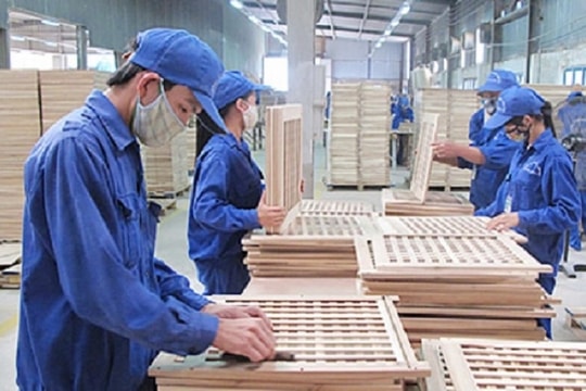 TTF nói gì về việc “bán chui” 12,6 triệu cổ phiếu quỹ?