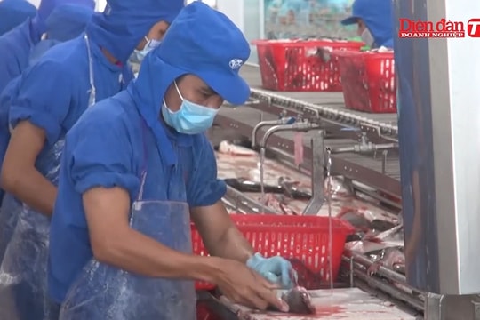 Xuất khẩu thủy sản tăng mạnh, doanh nghiệp lo thiếu nguồn cung