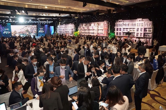 VinaCapital và Dragon Capital rót vốn 103 triệu USD, Hưng Thịnh Land có gì?