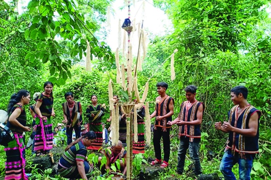 Độc đáo điểm đến giữa đại ngàn