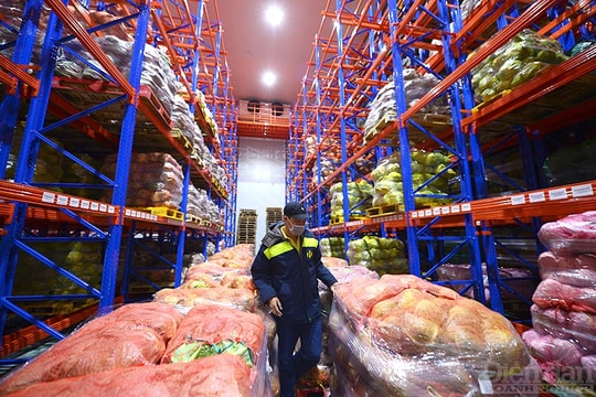 Trung tâm nông sản ĐBSCL: Mô hình nào phù hợp?