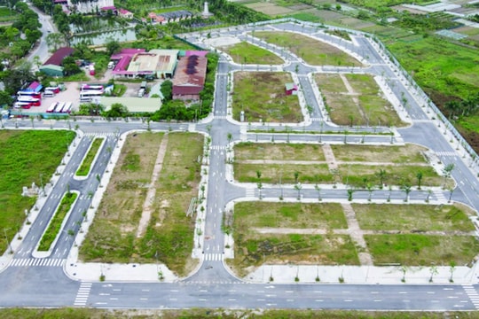 Vi phạm thẩm định giá: Cần bổ sung chế tài hình sự