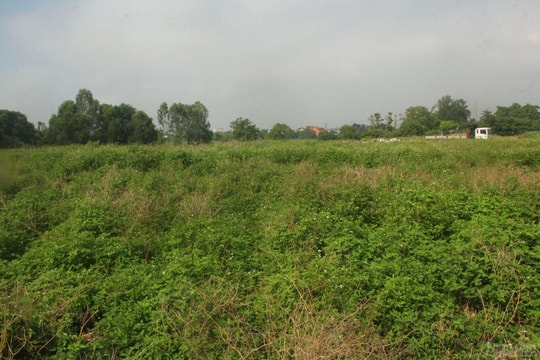 Nghệ An: "Đại dự án" khu đô thị dầu khí 12 năm vẫn "án binh bất động"