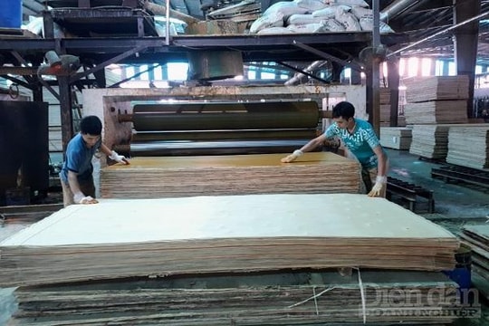 Doanh nghiệp chế biến lâm sản gặp khó