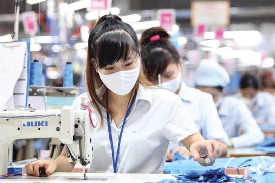 “Sàng lọc” cổ phiếu dệt may