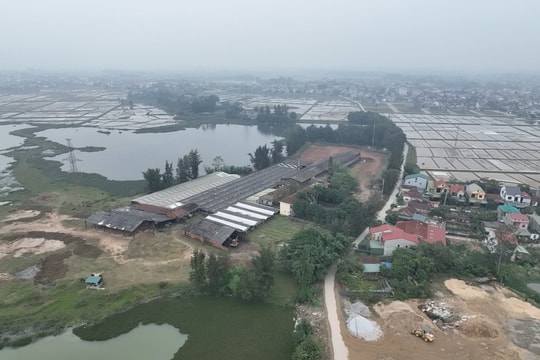 Nghệ An: Vi phạm nghiêm trọng về đất đai tại Công ty CP Gạch ngói 22/12