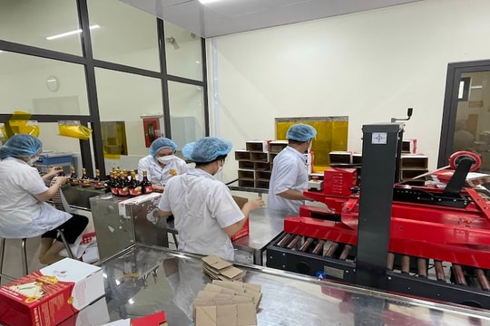 Dấu hỏi lớn cho ngành nước mắm Việt Nam