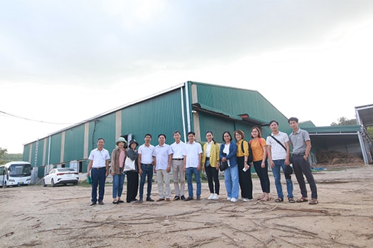 Chia sẻ thực hành hiệu quả trong việc lập kế hoạch kinh doanh bền vững cho các doanh nghiệp vừa và nhỏ