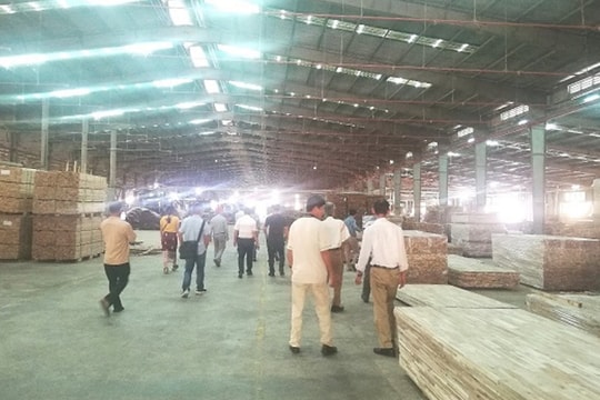 Hợp tác xã lập kế hoạch kinh doanh theo hướng tăng trưởng xanh bền vững