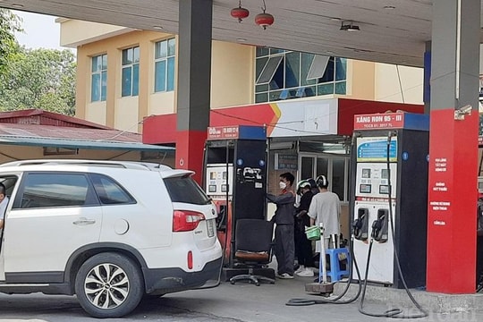 Quỹ bình ổn giá xăng dầu chỉ hoạt động tốt khi dự báo tốt giá thế giới