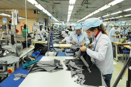 VITAS muốn doanh nghiệp EU hợp tác đầu tư phát triển bền vững