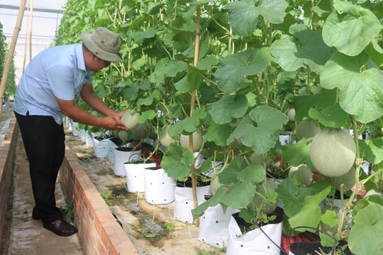 Phong trào khởi nghiệp: Cần sự hỗ trợ để tạo bước khởi sắc