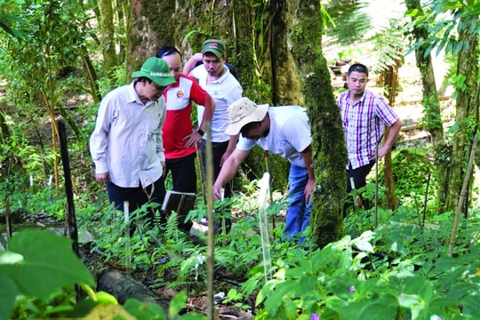 Trung tâm công nghiệp  dược liệu Quảng Nam