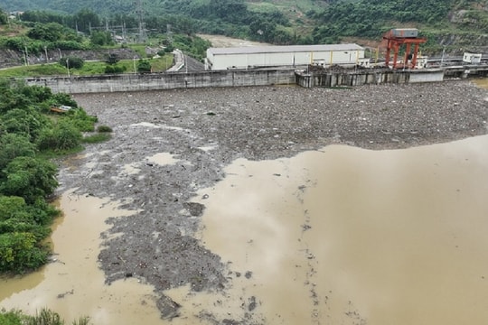 Nghệ An: Những “bãi rác nổi” trên lòng hồ thuỷ điện