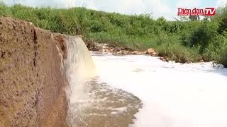 Bà Rịa – Vũng Tàu: Chưa thể xác định được nguyên nhân gây ô nhiễm tại suối Giao Kèo