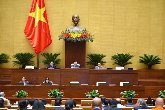 5 “chiêu trò” lách luật phổ biến trong đấu thầu